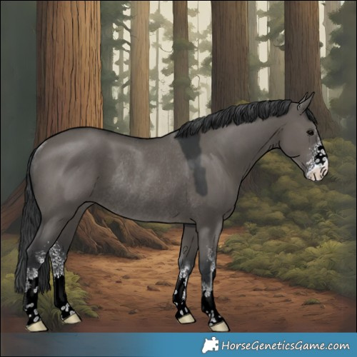 Horse Color:Grullo Sabino Rabicano 