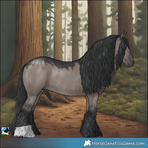Horse Color:Grullo Rabicano 
