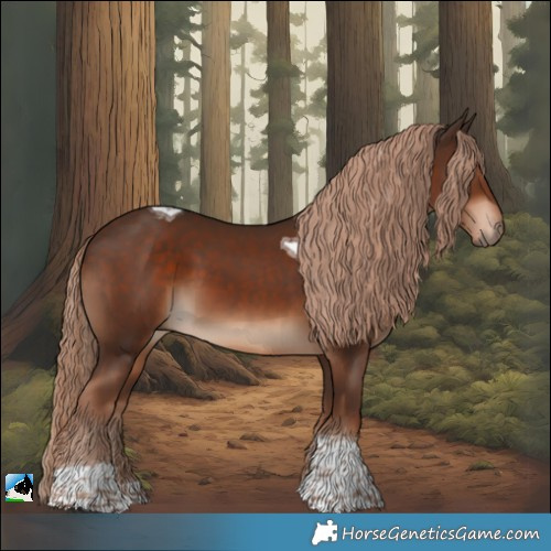 Horse Color:Liver Chestnut Tobiano