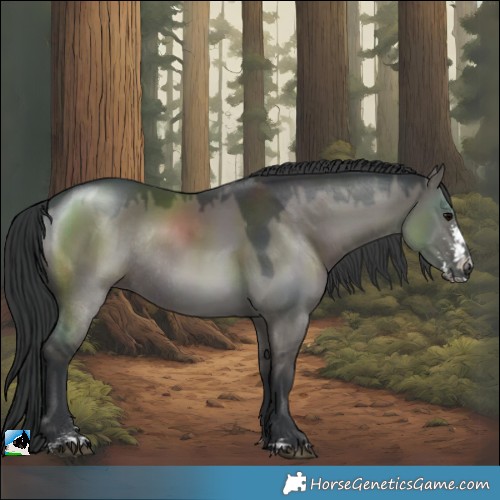 Horse Color:Grullo Sabino Rabicano 