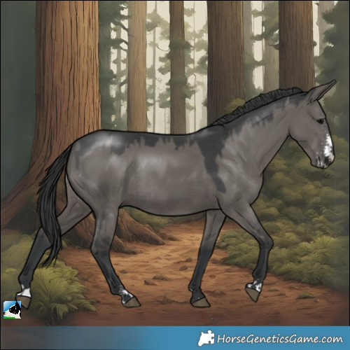 Horse Color:Grullo Sabino Rabicano