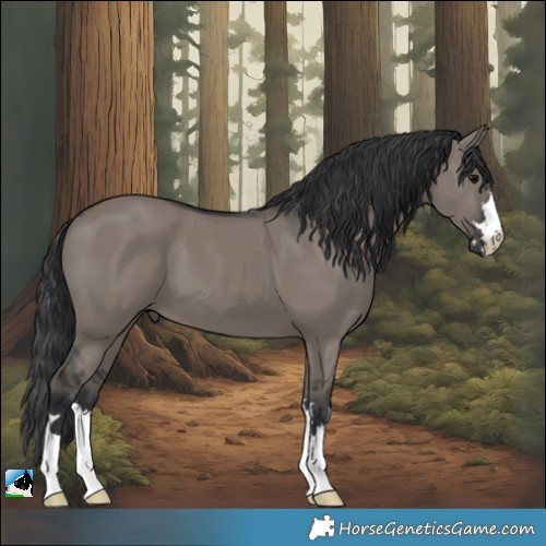 Horse Color:Grullo