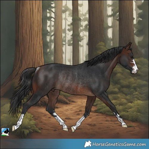 Horse Color:Brown Rabicano 