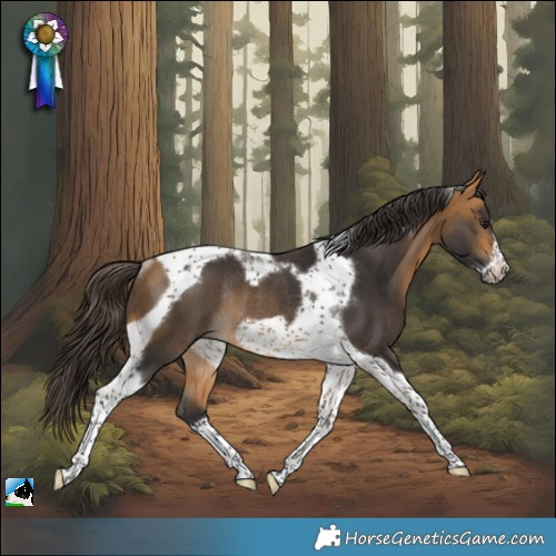 Horse Color:Buckskin Tobiano Frame Rabicano 