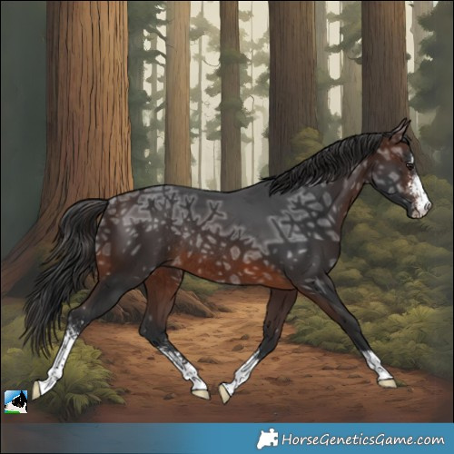 Horse Color:Brown Ice Sabino Rabicano