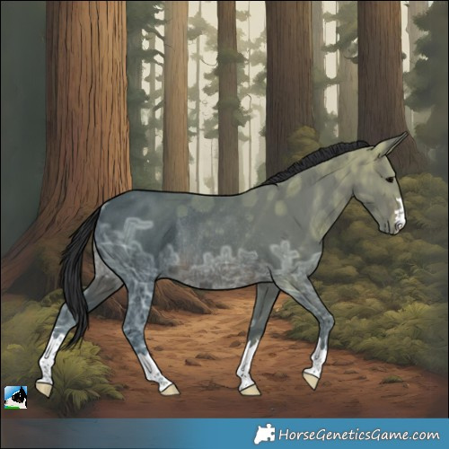 Horse Color:Brown Ice Rabicano