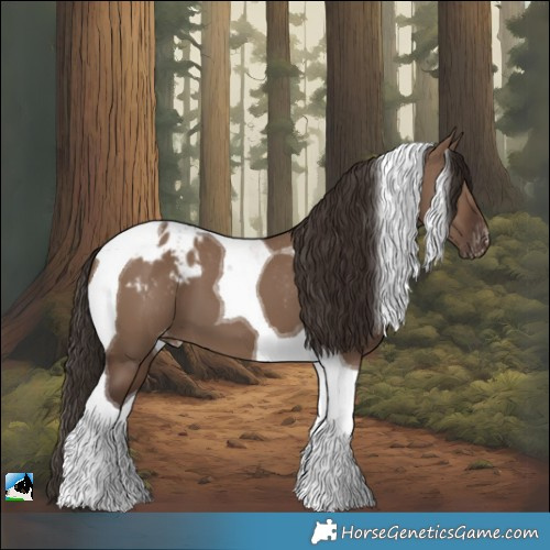 Horse Color:Liver Red Dun Tobiano Appaloosa