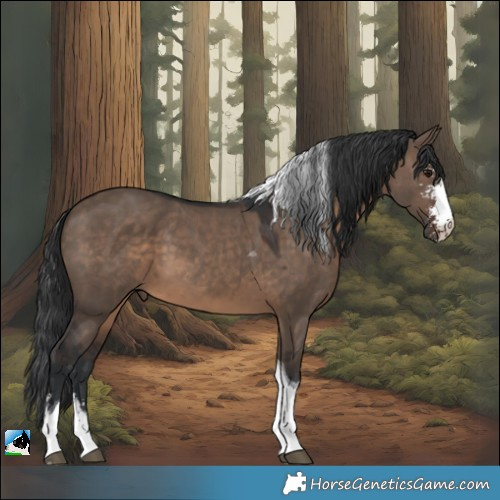 Horse Color:Brown Dun Sabino Tobiano 