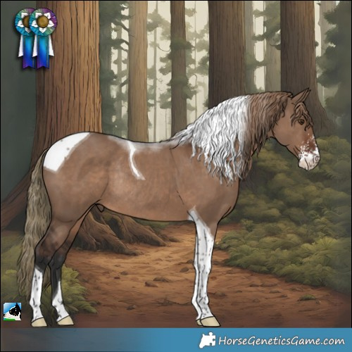 Horse Color:Liver Red Dun Sabino Tobiano Rabicano
