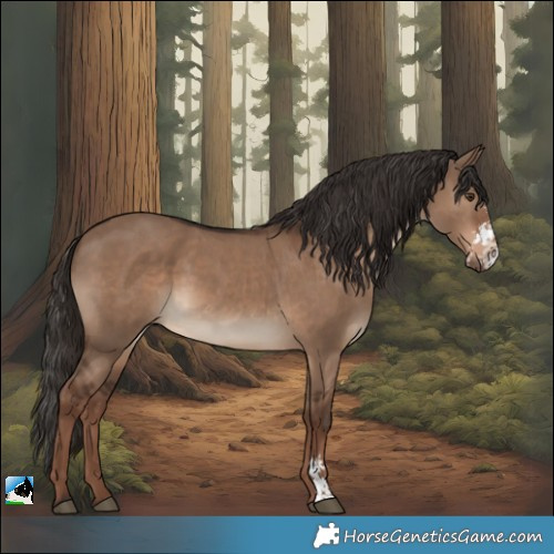 Horse Color:Liver Red Dun Sabino