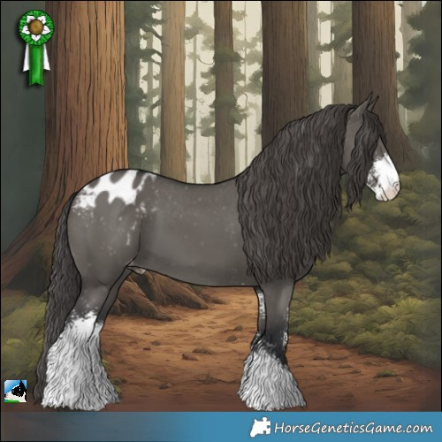 Horse Color:Grullo Sabino Appaloosa