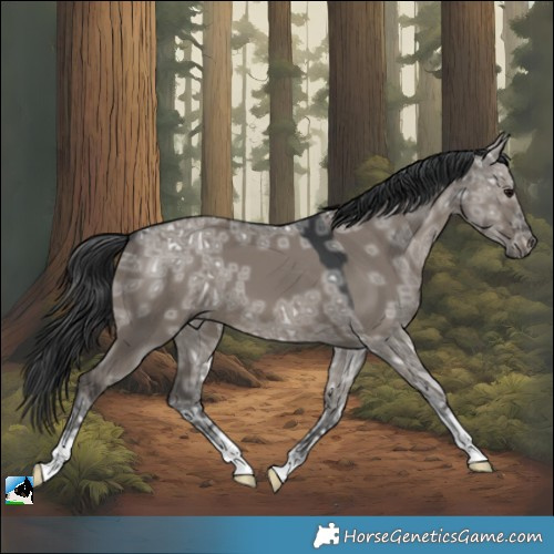 Horse Color:Grullo Ice 