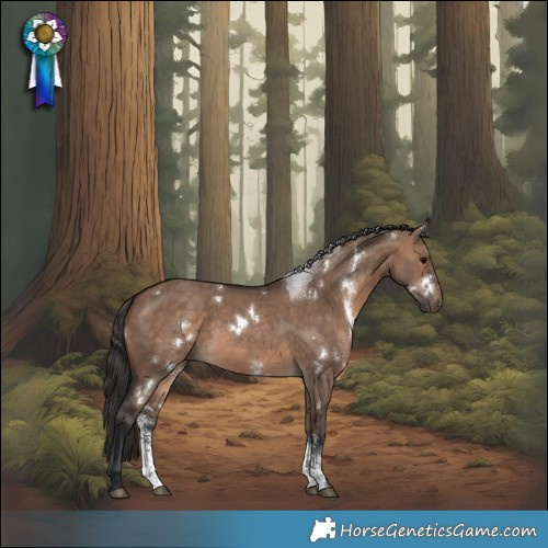 Horse Color:White Spotted Brown Dun Sabino 