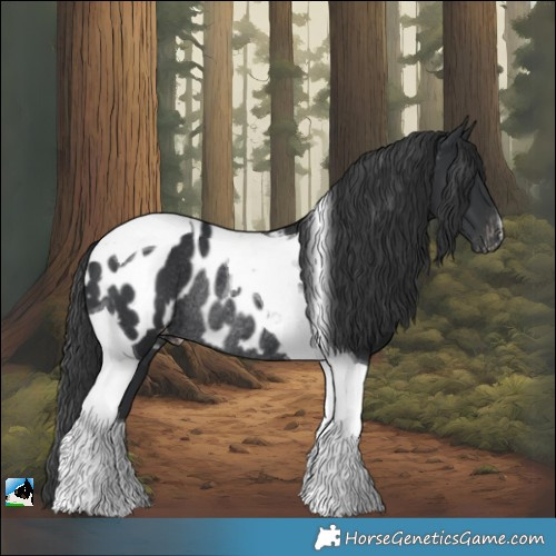 Horse Color:Black Tobiano Appaloosa Rabicano 