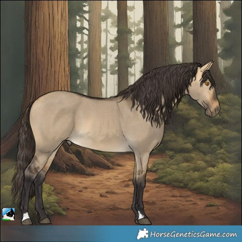 Horse Color:Buckskin Dun