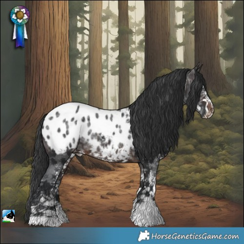 Horse Color:Brown Ice Sabino Appaloosa