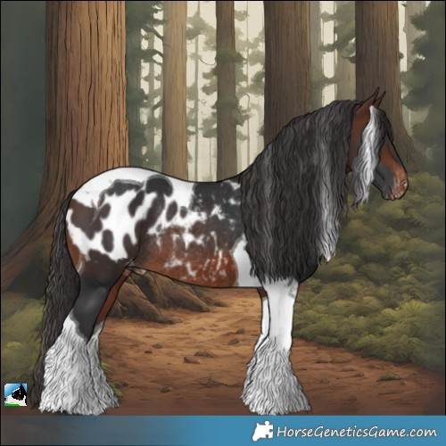 Horse Color:Brown Tobiano Appaloosa Rabicano