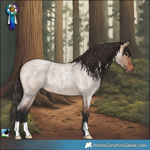 Horse Color:Bay Roan Dun