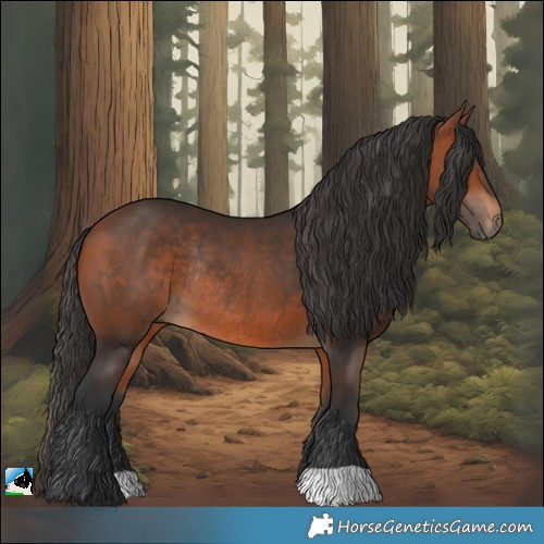Horse Color:Bay Rabicano 