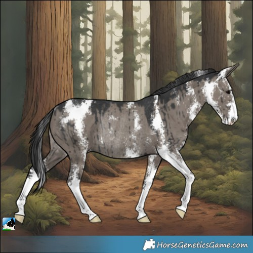 Horse Color:Grullo Sabino Rabicano Brindle