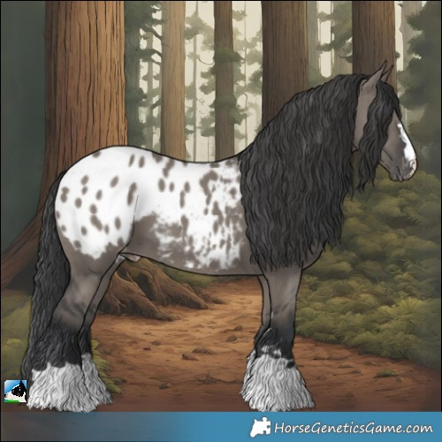 Horse Color:Grullo Appaloosa Brindle