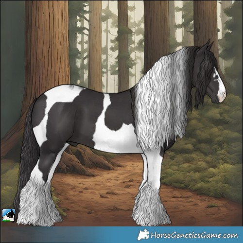 Horse Color:Smoky Black Tobiano
