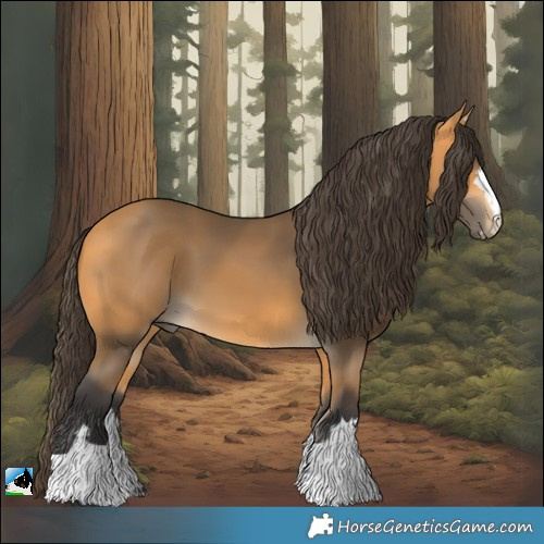 Horse Color:Buckskin
