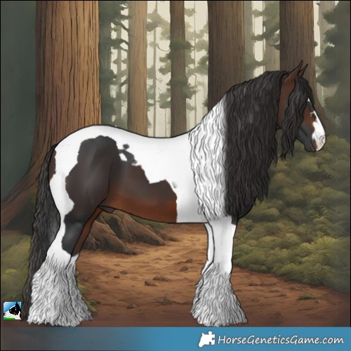 Horse Color:Brown Tobiano