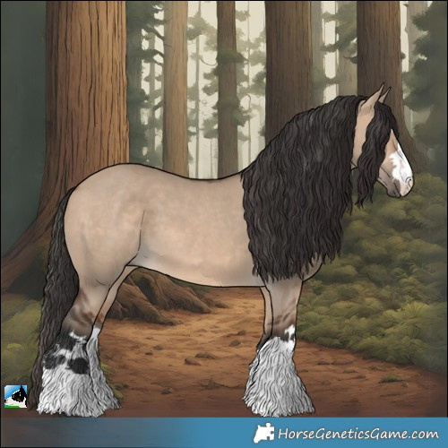 Horse Color:Brown Dun 