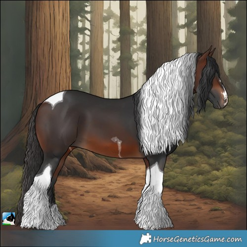 Horse Color:Brown Tobiano