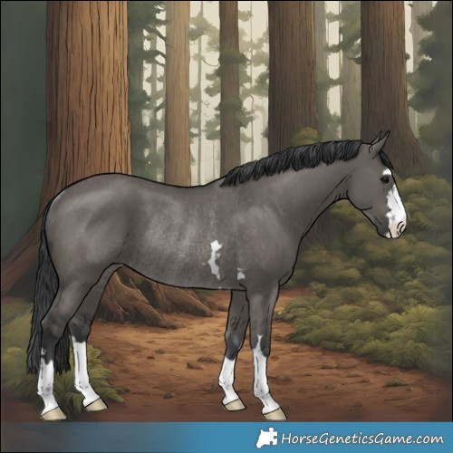 Horse Color:Grullo Rabicano 
