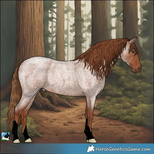 Horse Color:Red Roan