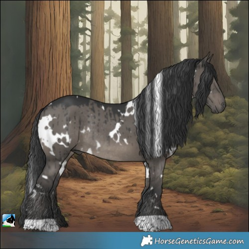 Horse Color:White Spotted Grullo Rabicano Brindle