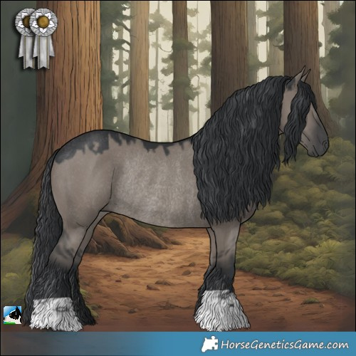 Horse Color:Grullo Rabicano