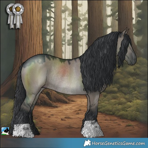 Horse Color:Grullo Rabicano 