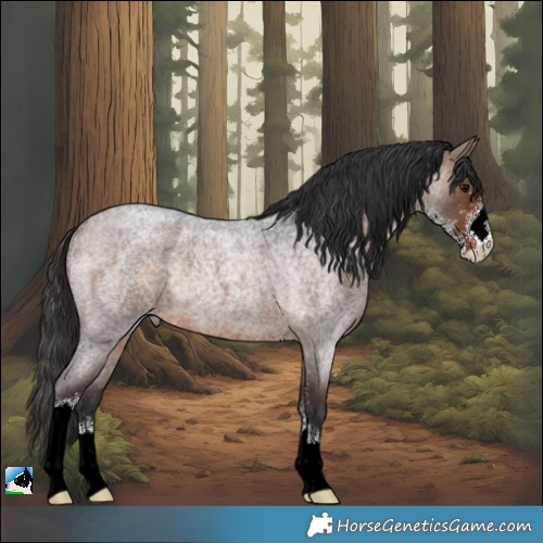 Horse Color:Brown Roan Sabino Rabicano