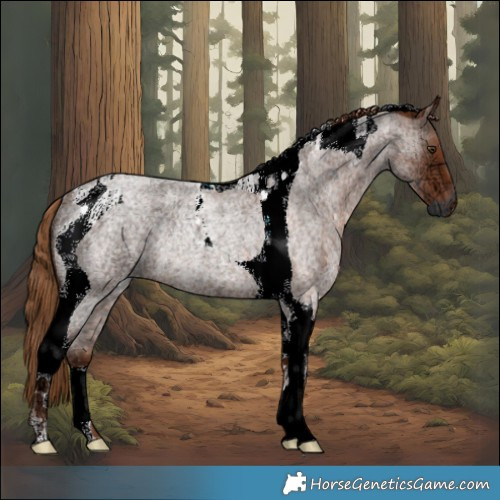 Horse Color:Red Ice Roan Tobiano Rabicano