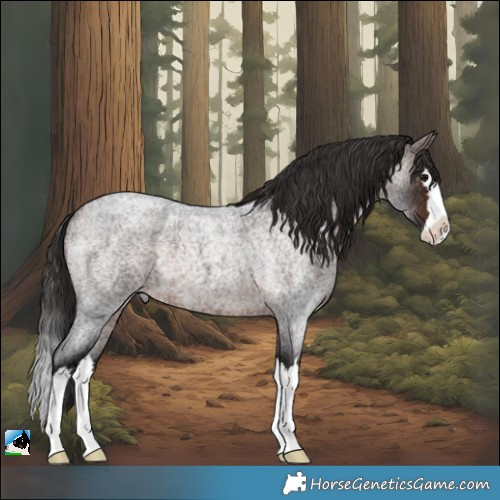 Horse Color:Brown Ice Roan Splash Rabicano