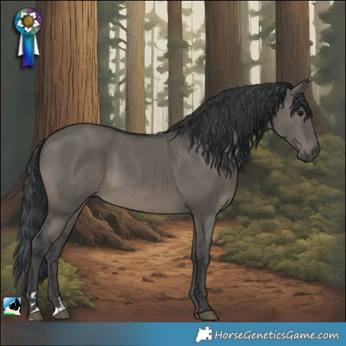 Horse Color:Grullo