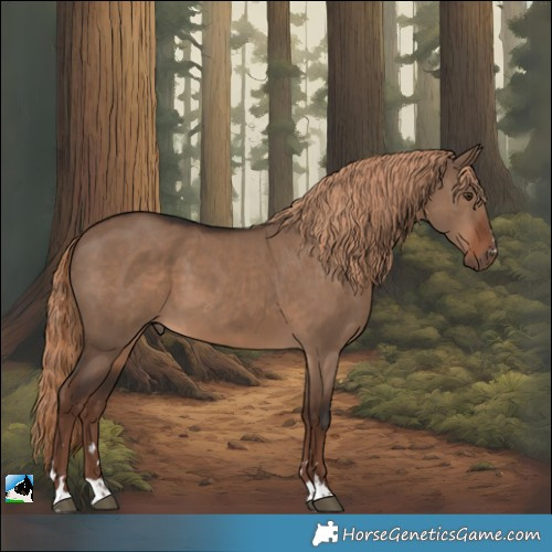 Horse Color:Liver Red Dun