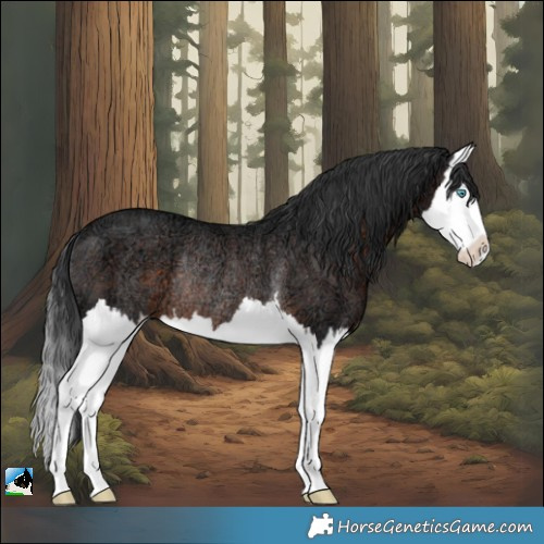Horse Color:Brown Ice Splash Rabicano