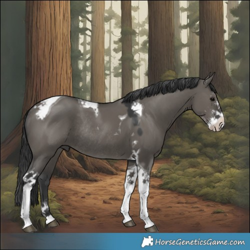 Horse Color:Grullo Sabino Tobiano Rabicano 