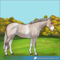Horse Color:White Spotted Silver Brown Roan Dun 