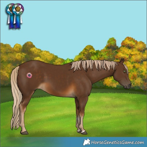 Horse Color:Chocolate Palomino