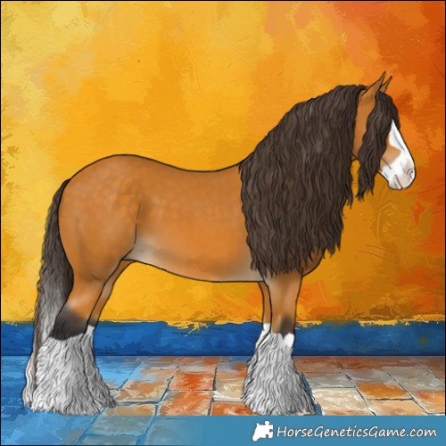 Horse Color:Buckskin Splash 