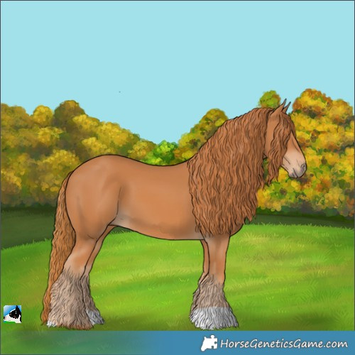 Horse Color:Chestnut 