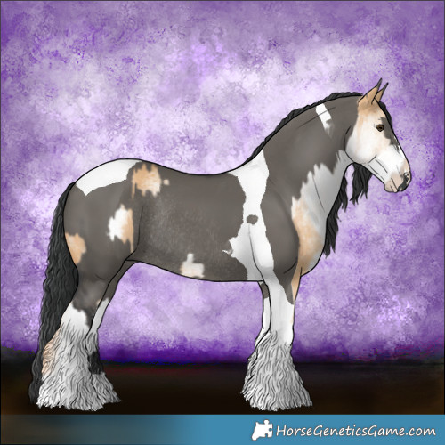 Horse Color:White Spotted Red Dun Rabicano and Grullo Tobiano Rabicano