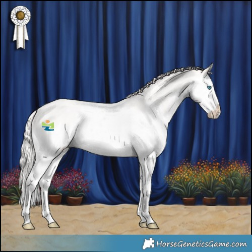 Horse Color:Perlino Splash