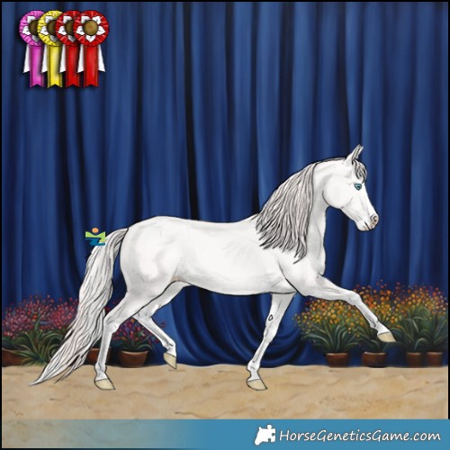 Horse Color:Perlino Splash 