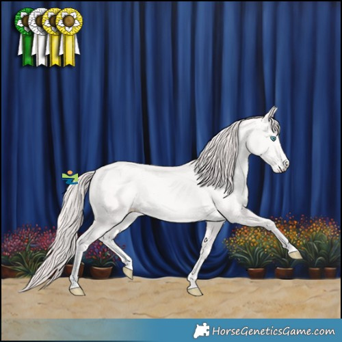 Horse Color:Perlino